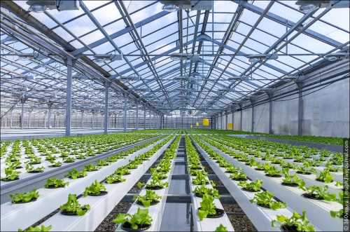Polycarbonate hollow sheet