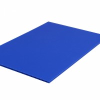Blue PP Corrugated Twinplast Board