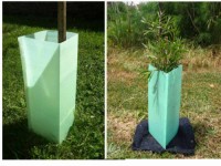 Fluted tree guards