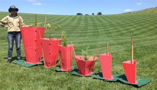 Fluted tree guards